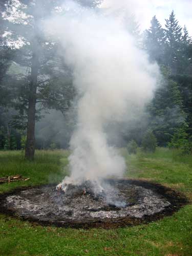 Jan Shield Nest Burn